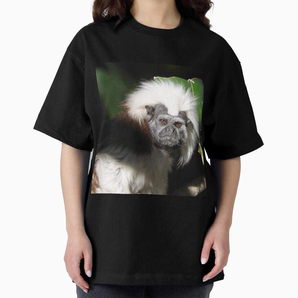 Cotton-top Tamarin by kirstybush
