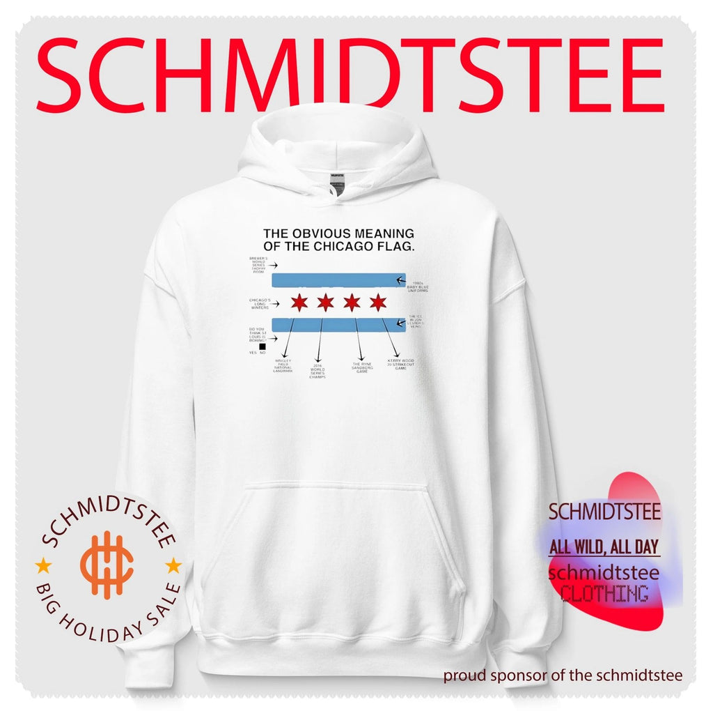 The Obvious Meaning of the Chicago Flag shirt