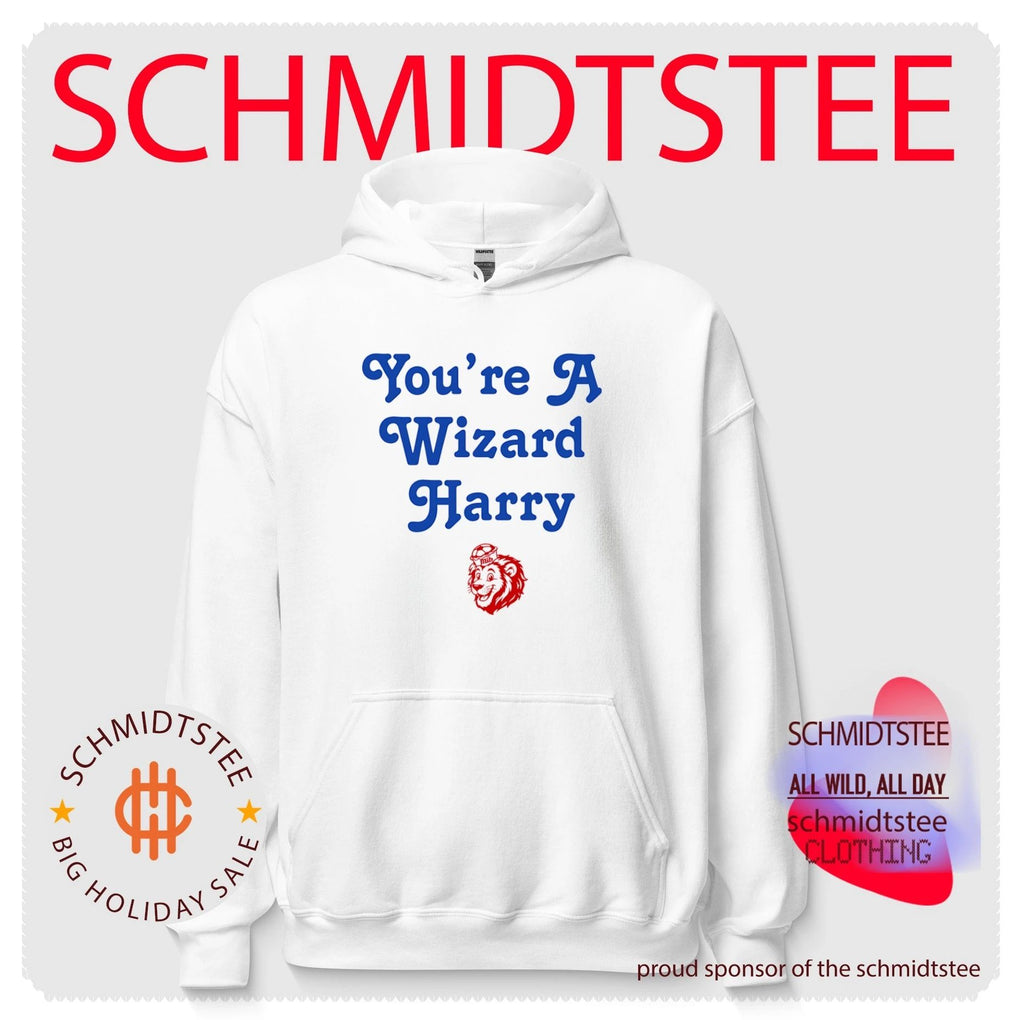You’re a Wizard Harry Mib Lion Soccer shirt